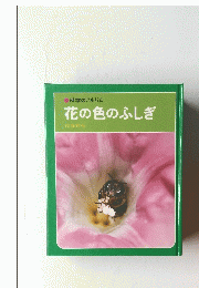 科学のアルバム 花の色のふしぎ