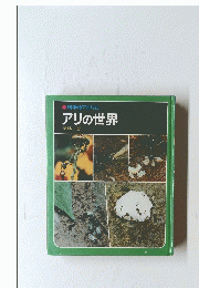 アリの世界