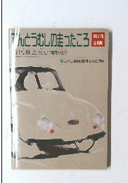 てんとうむしの走ったころ
