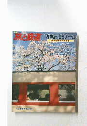 旅と鉄道　汽車旅、ゼミナール　'85 春の号 No.55