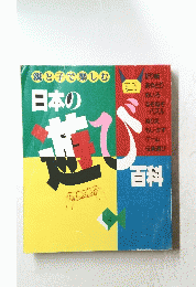 日本の遊び百科