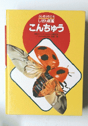 こんちゅう