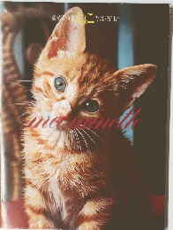 ねこ　maminette 豪華写真集