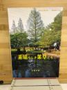 おもしろ知的散歩　素晴らしき薬草たち