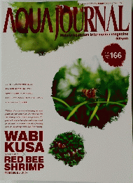 AQUA JOURNAL　2009年8月号