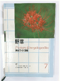 野草 Picture Encyclopedia 原色ワイド図鑑　7
