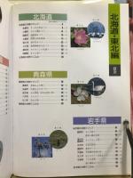 日本の祭り　旅と観光