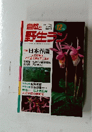 自然と野生ラン 1998年12月号