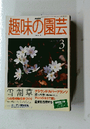 NHK　趣味の園芸　2000年3月1日号