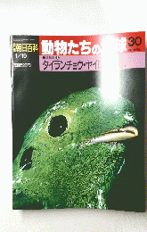 朝日百科　動物たちの地球　30