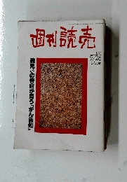 週刊読売 平成5年9月25日号