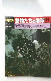 朝日百科　動物たちの地球　64　アワビ・アメフラシ・ホタテガイ ほか