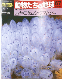 朝日百科動物たちの地球　67