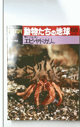 動物たちの地球　68　エビ・ヤドカリ