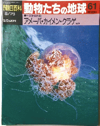 朝日百科 動物たちの地球 61 8月23日号