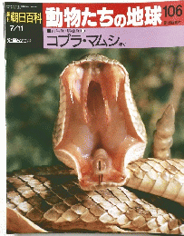 朝日百科 動物たちの地球 106