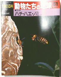 朝日百科動物たちの地球　81