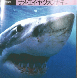 日百科動物たちの地球85