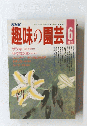 趣味の公園　1987年６月