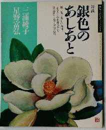 銀色の あしあと