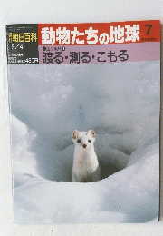 朝日百科　動物たちの地球　7号　8/4