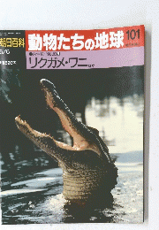 朝日百科　動物たちの地球　１０１　6/6