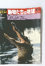 朝日百科　動物たちの地球　１０１　6/6