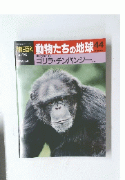 朝日百科　動物たちの地球　44号　4/26