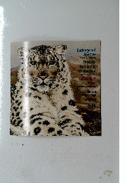 Endangered Species 1993 Annual Collection