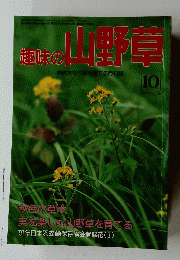 趣味の山野草　1991年10月号 No.135
