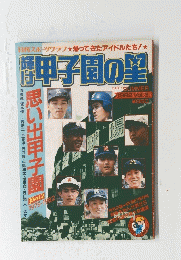 甲子園の望　1982年号　vol.3