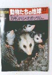 朝日百科　動物たちの地球　1992年3月8日号　No.37