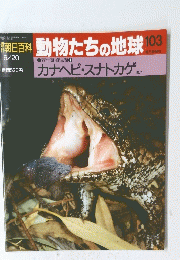 朝日百科　動物たちの地球　103　6/20