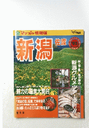 新潟　マップル情報　１９９３年
