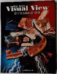 BRAIN RESCUE Visual View