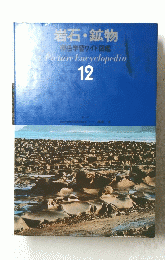 岩石・鉱物 原色学習ワイド図鑑　12
