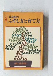 盆栽樹の ふやし方と育て方