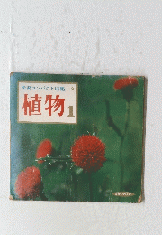 植物　1