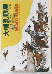 大哺乳類展　陸のなかまたち