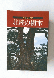 富山・石川・福井 北陸の樹木