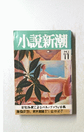 小説新潮　１９９３年１１月