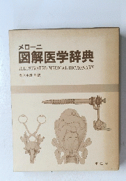 メローニ　図解医学辞典