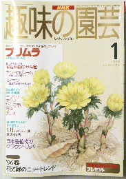 趣味の園芸　1996年1月