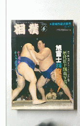 相撲　1990年6月号