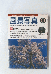 風景写真　2004年3月4日号