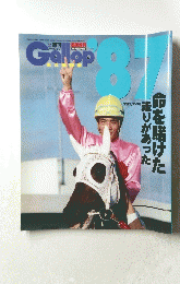 Gallop  '87