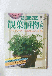 失敗しない観葉植物　入門