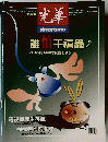 誰千禧蟲?　１９９９年５月号