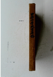 田小学校百年城