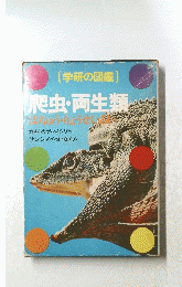 爬虫・両生類
